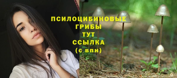 дурь Армянск