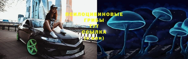 прущая мука Арсеньев