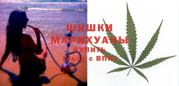индика Аркадак