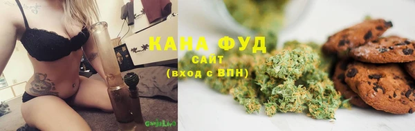 индика Аркадак