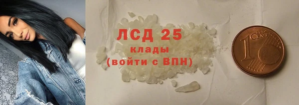 индика Аркадак