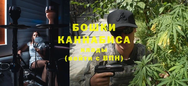 индика Аркадак