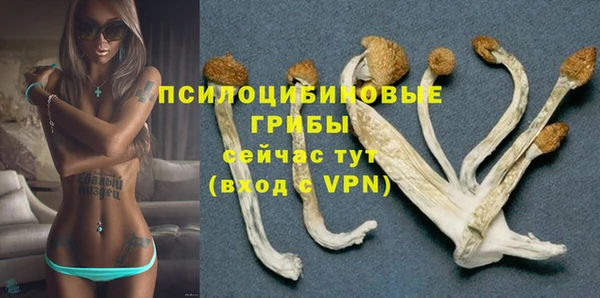 индика Аркадак
