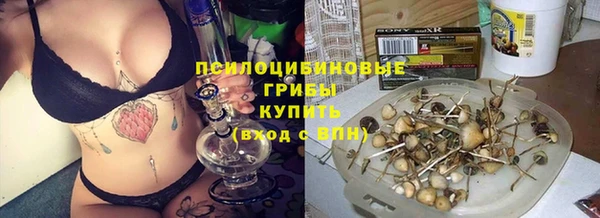 дурь Армянск