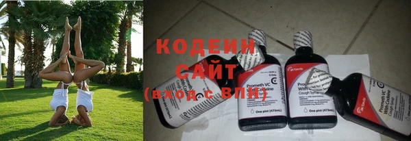индика Аркадак