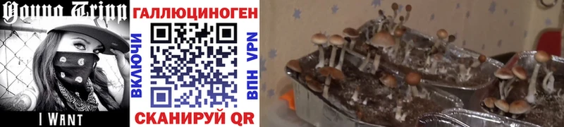 Галлюциногенные грибы прущие грибы darknet клад Ухта